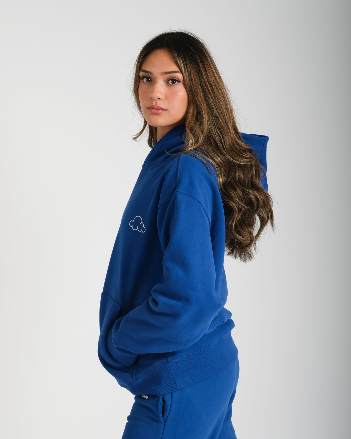 Unisex Heavyweight Hoodie