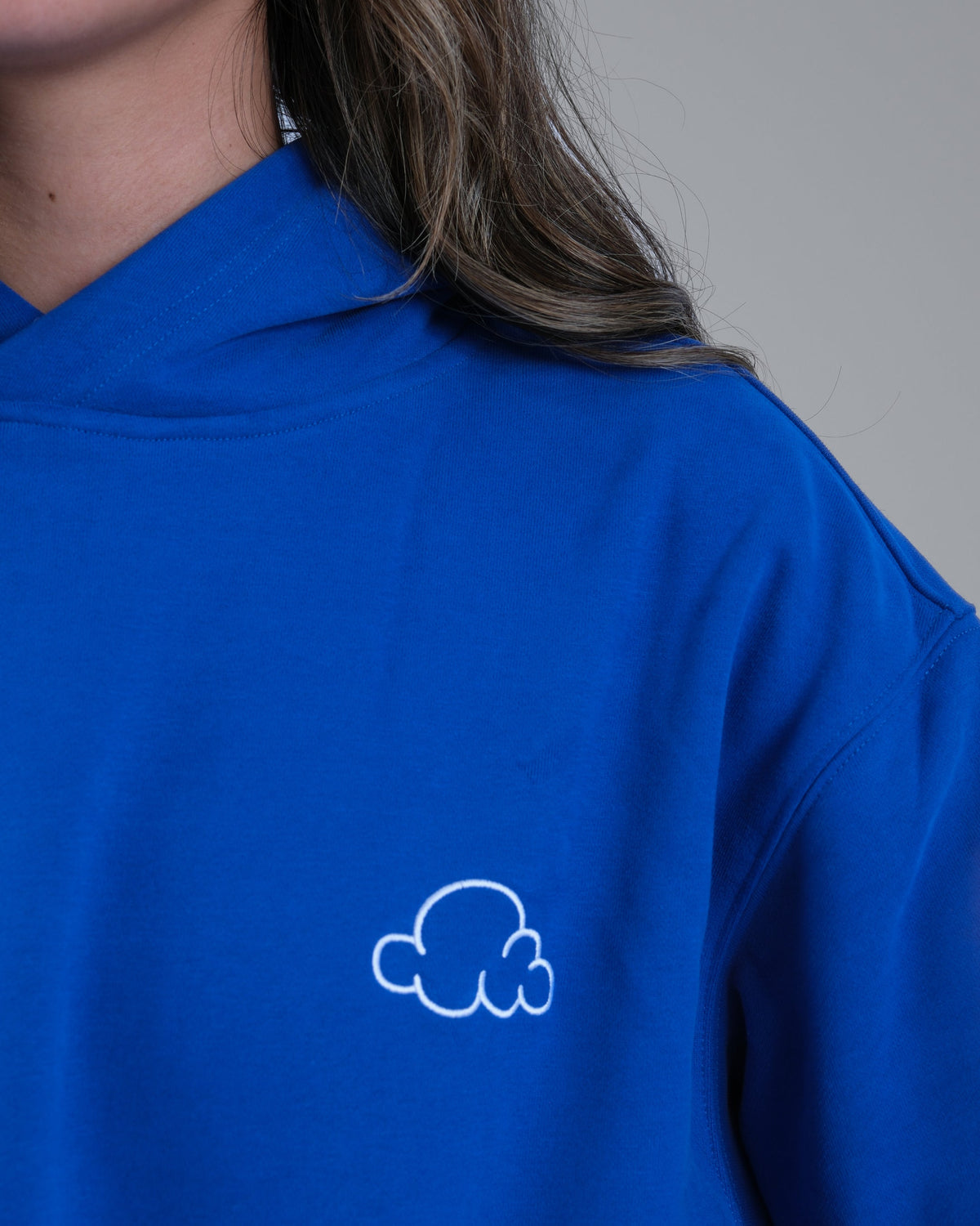 Unisex Heavyweight Hoodie